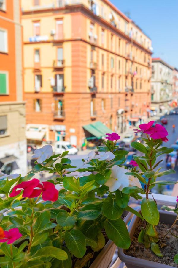 Le Meraviglie Di Napoli Bed & Breakfast エクステリア 写真